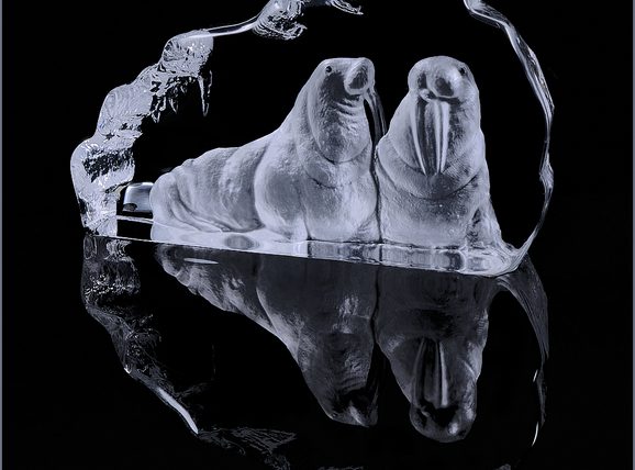 Glass Walrus Sculpture by Norm Cruse - Honourable Mention