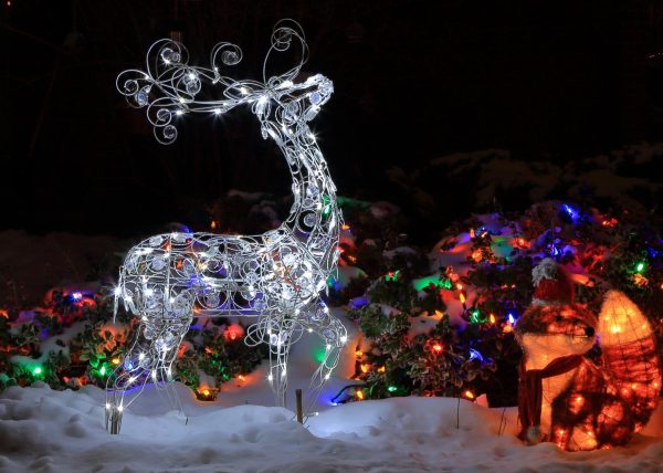 Christmas Reindeer by Connie Tanenbaum- Honourable Mention