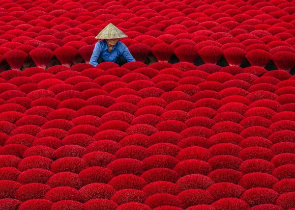 Incense Garden by George Campbell – Award of Merit