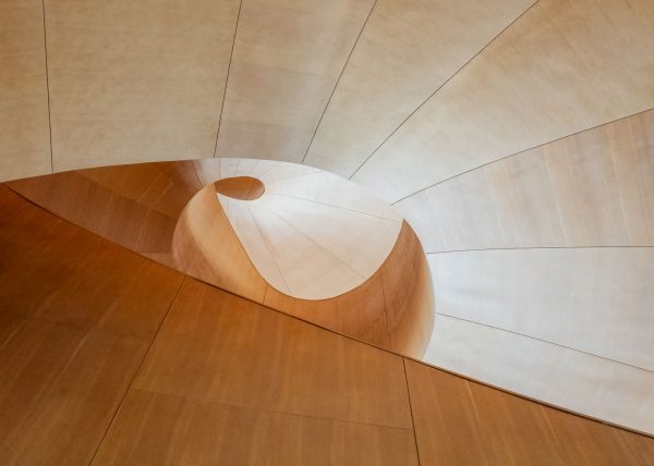 Into the Vortex by Jennifer Allen – Award of Merit