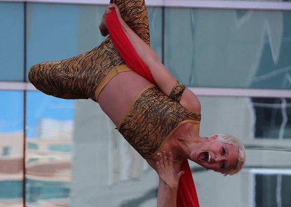 Just Hanging Around by Doris Bies – Award of Merit