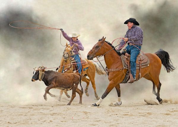 Calf Roping by Betty Chan – Award of Merit