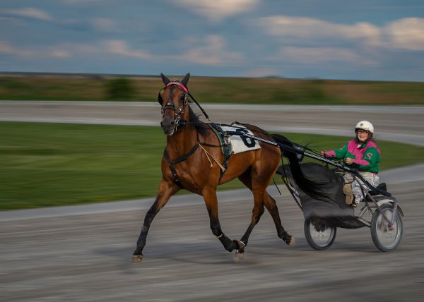 Warming Lap by Alberto Bustos – Honourable Mention