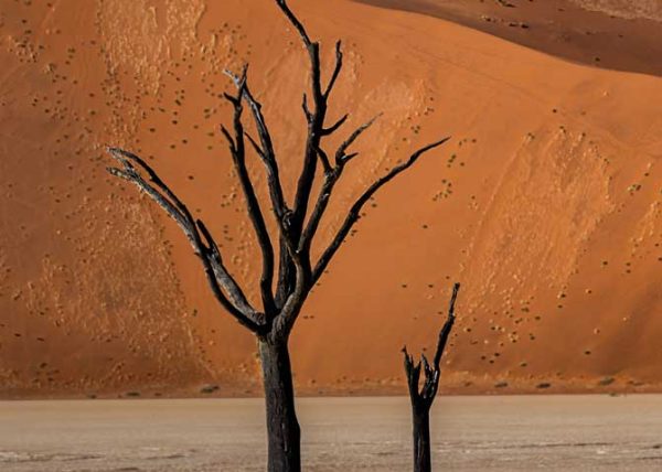 Deadvlei Landscape by Catherine AuYeung – Award of Merit