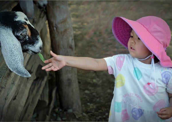 Feeding my New Friend  by David Guttman – Honourable Mention