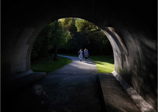 Friends Beyond the Shadows  by David Guttman – Award of Merit