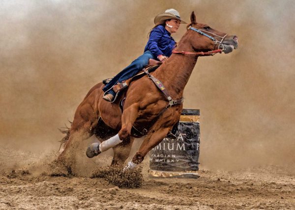 Barrel Racing by Betty Chan – Award of Merit