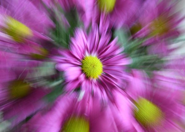 Burst by Cynthia Smith – Honourable Mention