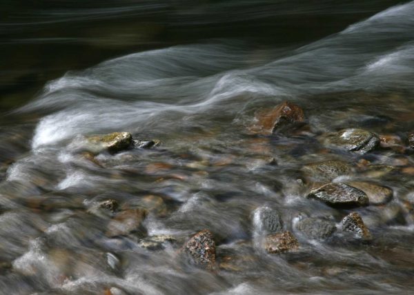 Gull River by Cyndie Blackmore – Honourable Mention