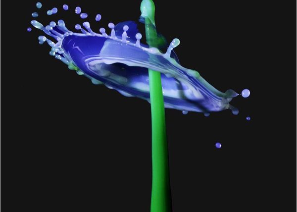 Liquid Art by George Campbell – Award of Merit