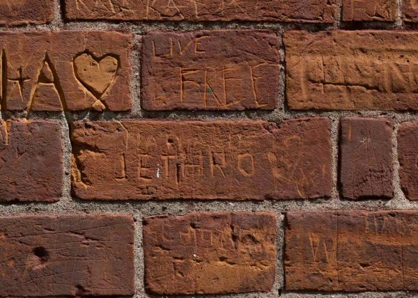 Live Free by Sheila Smith – Honourable Mention