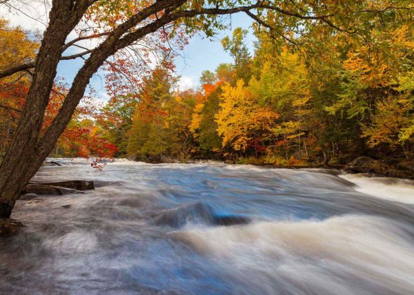 Oxtongue Rapids by Marcos Lins – Honourable Mention