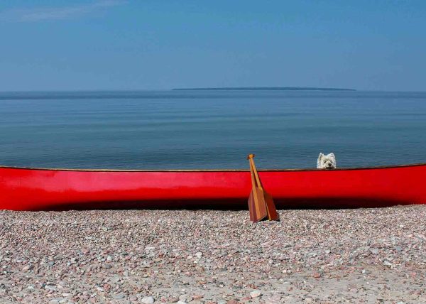 Paddle Pal by Michele Fraser – Award of Merit