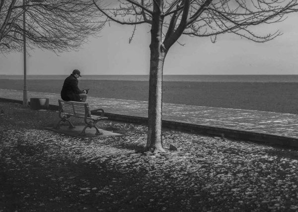 A Young Freud in Quiet Contemplation by Tony Di Bartolomeo – Honourable Mention