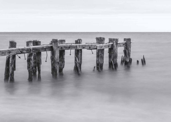 Abandoned by Cynthia Smith – Honourable Mention