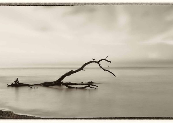 Abstract by Vlodek Witt – Honourable Mention