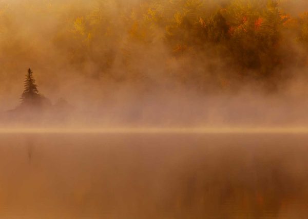 Autumn Fog by Marcos Lins – Award of Merit