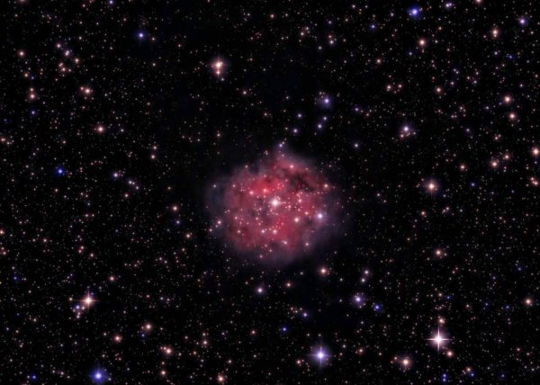 Cocoon Nebula by Jean Liao – Honourable Mention