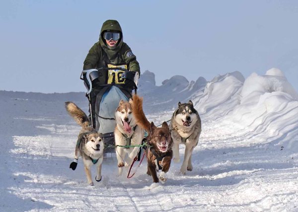 Dog Sled by Betty Chan – Award of Merit