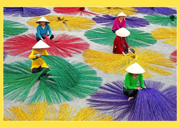 Drying Sedge by Betty Chan – Honourable Mention