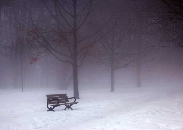 Early Morning Fog by Doris Bies – Honourable Mention