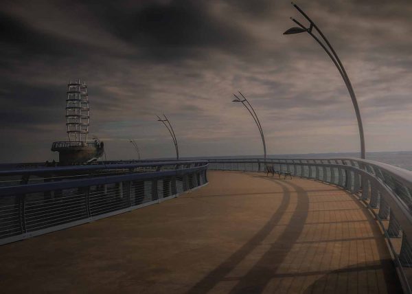 Mother Ship by Tony Di Bartolomeo – Award of Merit