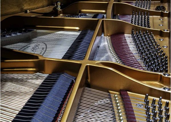 Piano Interior by George Campbell – Award of Merit