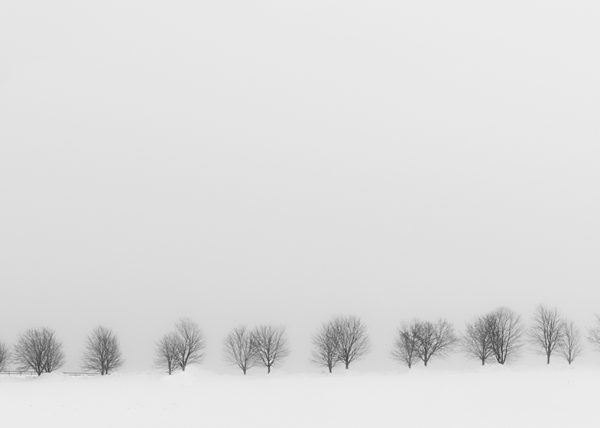 Road West on Scugog Island by Gray Graffam – Award of Merit