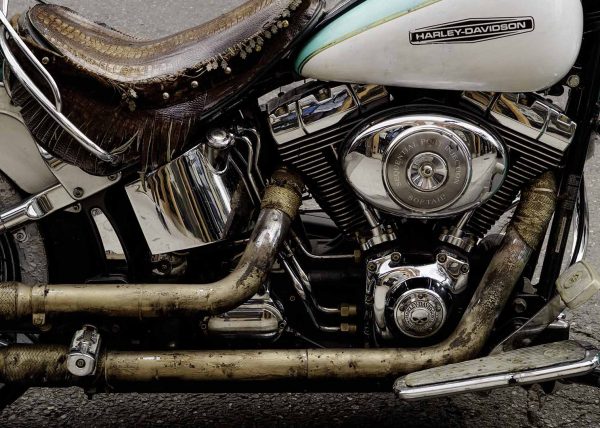 Rusted Harley Davidson by George Campbell – Honourable Mention