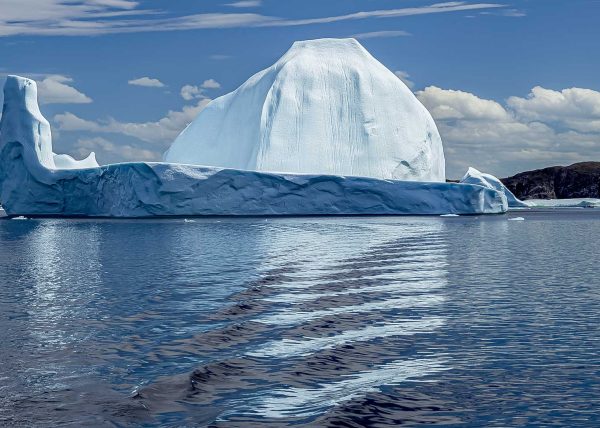 Sculpted in Nature by Reg Hawes - Honourable Mention