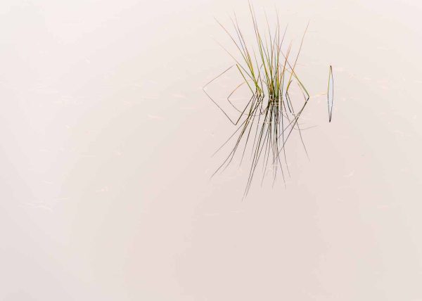 Stillness by Catherine AuYeung – Award of Merit