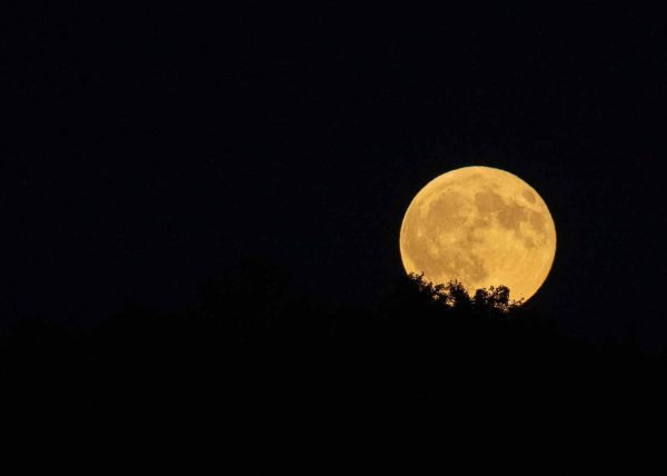 The Rising Moon by Jennifer Allen – Honourable Mention