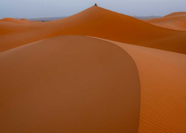 Tranquil Observation by Reg Hawes – Award of Merit