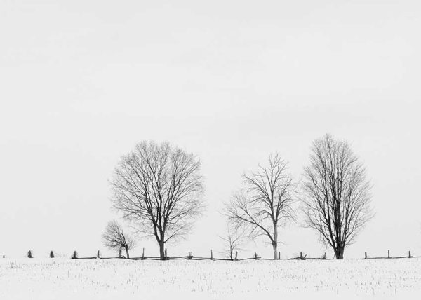 Winter Minimalism 1 by Gray Graffam – Honourable Mention